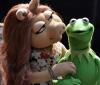 Kermit the Frogs neue Liebe: 6 Wissenswertes über Miss Piggys Ersatz – SheKnows
