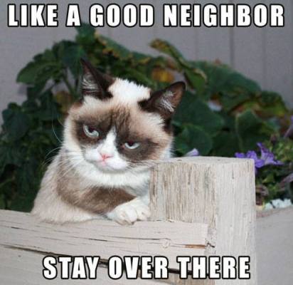 Grumpy Cat meemid