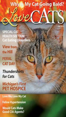Kaķu žurnāla lietotne