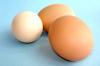 Sparsame und nahrhafte Eier