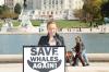 Hayden Panettiere ismét megmenti a bálnákat - SheKnows