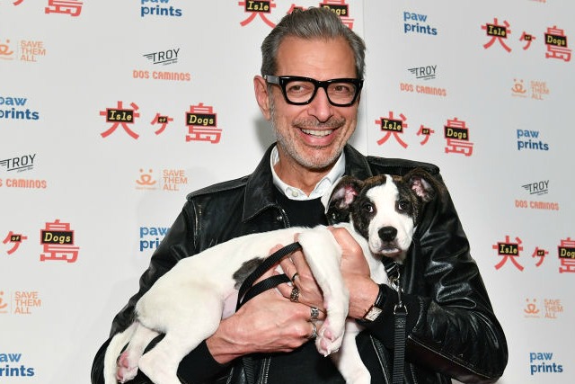 Jeff Goldblum kuschelt mit einem Welpen, der für Isle Of Dogs wirbt