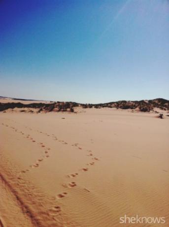 Silver lake state park