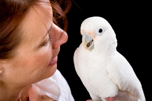 Nő fehér papagájjal
