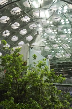 California Academy of Sciences