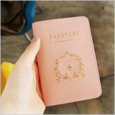 पासपोर्ट धारक कवर केस आयोजकों को सुरक्षित रखें
