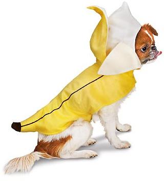 Petco Banana Halloween kutya jelmez