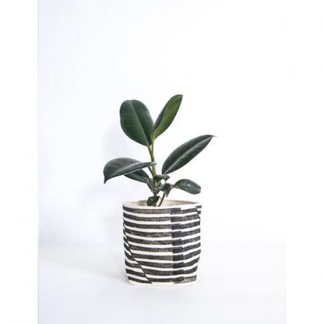 Najboljši sadilci na Etsyju | Stripe Planter Cosy