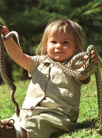 SUNSHINE COAST, AUSTRALIEN - 22 AUGUSTI: (EUROPA OCH AUSTRALASIEN UT) Bindi Irwin, 2, dotter till Steve Irwin, med med burmesiska Pythons. (Foto av Graeme ParkesNewspixGetty Images)