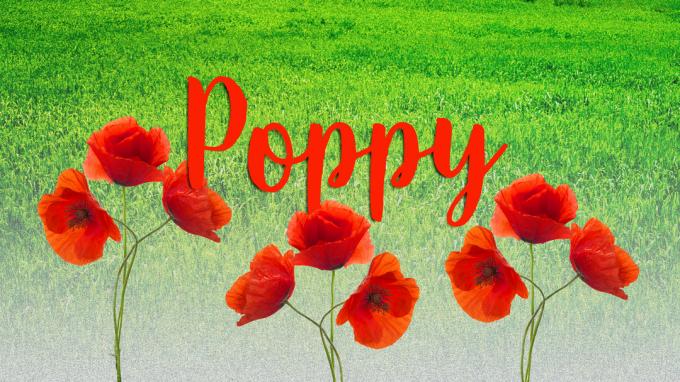 ชื่อทารก 2020 Poppy