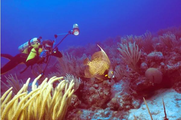 Frequent Flyer: Tempat menginap, makan, dan bermain di St. Kitts