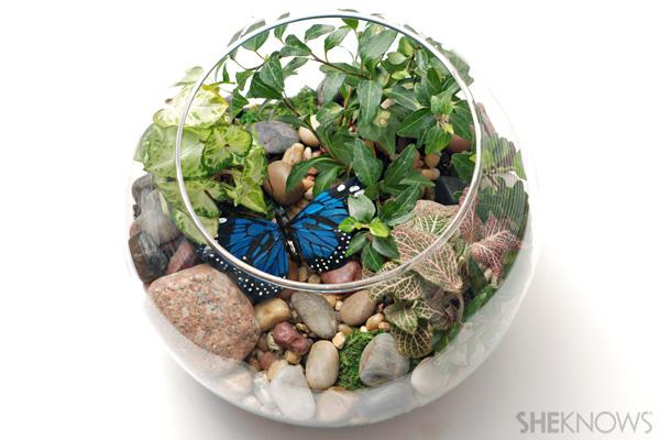 Innendørs terrarium