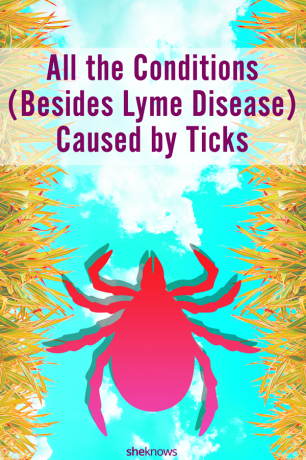 Minden kullancs által okozott állapot (a Lyme -kór mellett)