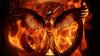 비디오: The Hunger Games: Mockingjay — Part 1 예고편 보기 – SheKnows