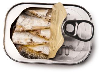 Sardines