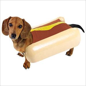 Costume da hot dog