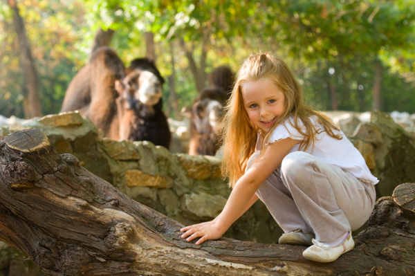 동물원에서 어린 소녀