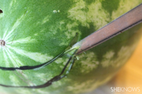 Hogyan készítsünk görögdinnye elefánt tálalótálat | SheKnows.com