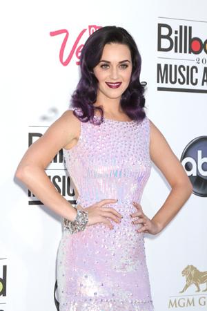 Katy Perry Robert Ackroyd Split