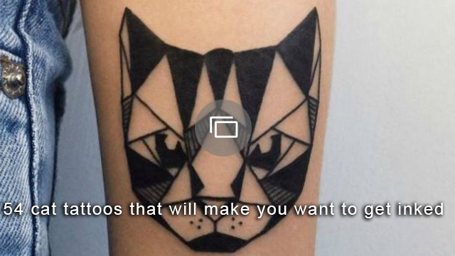 http://www.sheknows.com/pets-and-animals/slideshow/list/3117/cat-tattoos/simple-cat-tattoo-with-color