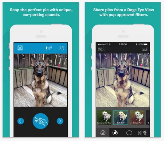 App BarkCam