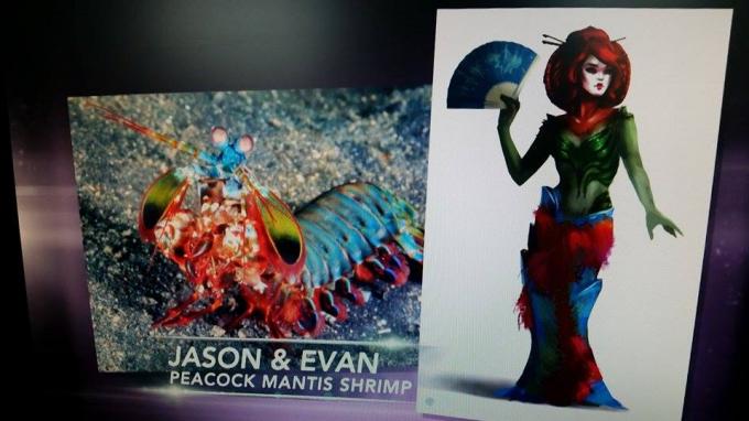 Evan und Jason: Peacock Mantis Shrimp