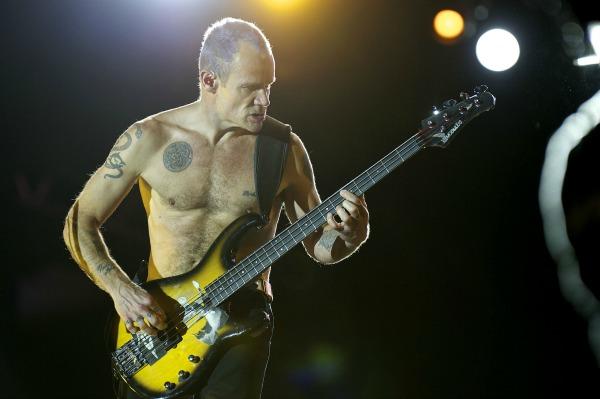 Floh der Red Hot Chili Peppers