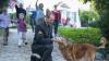Soldaten treffen sich mit ihren Hunden – SheKnows