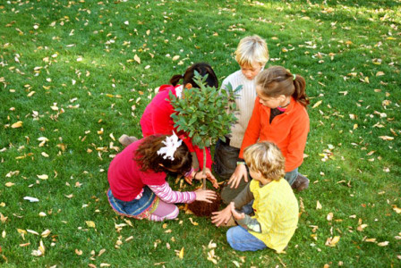 Děti sázejí strom