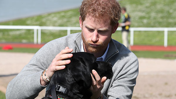 Prens Harry köpeğiyle