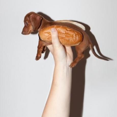 cane Weiner