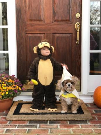 Обезьяна и банан ребенок и собака хэллоуин