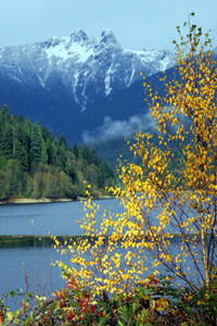 Vancouver jeseni