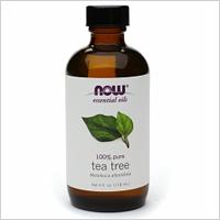 שמן עץ התה