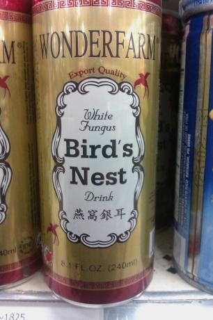 witte schimmel vogels nest drinken