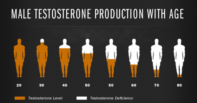 Производство тестостерона