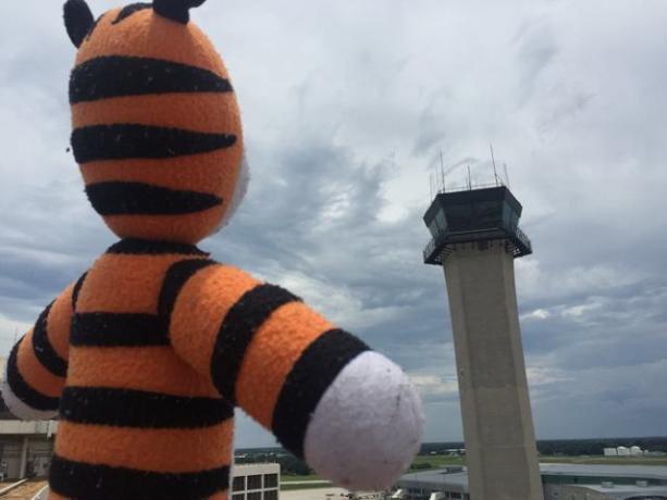 Hobbes na wieży kontrolnej