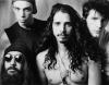 Soundgarden kündigt Juli-Tour an! - Sie weiß