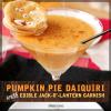 Mit Pumpkin Pie Daiquiri können Sie Ihren Lieblings-Herbst-Leckerei durch einen Strohhalm trinken – SheKnows