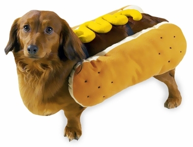 hotdogkostuum voor honden