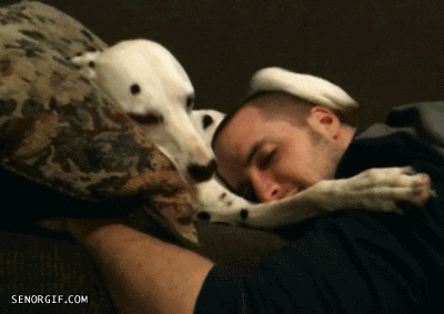 Kutya ölelés