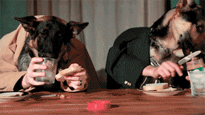 Kutyák esznek