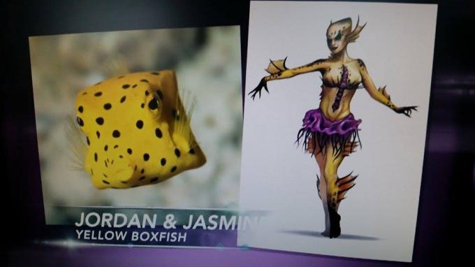 Jordan und Jasmin: Gelber Kofferfisch