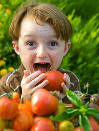 Poika syö tomaattia