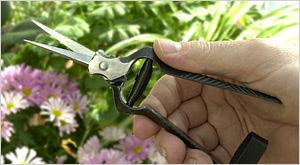 Kute nożyce do kwiatów Lee Valley Tools