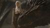 Emilia Clarke spricht über Danys Schicksal im Finale der 'Game Of Thrones'-Serie – SheKnows