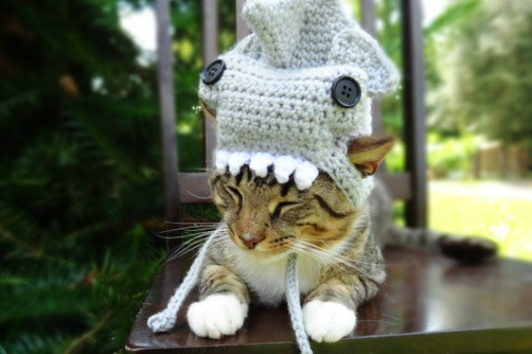 Hattar för katter på Etsy