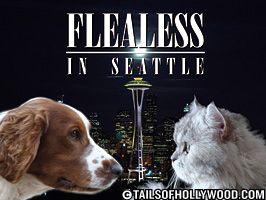 Flealess di Seattle