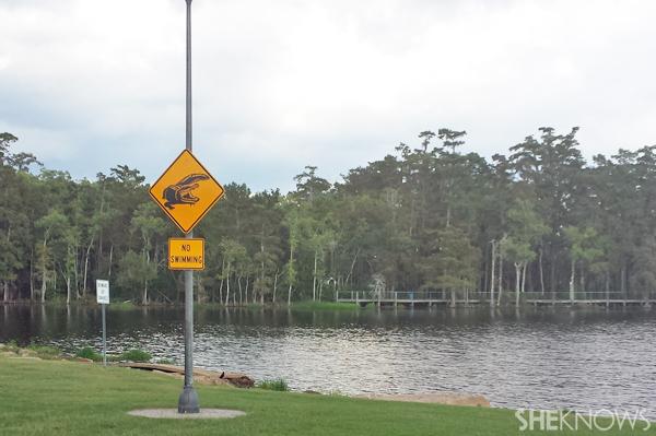 Brīdinājums par aligatoru