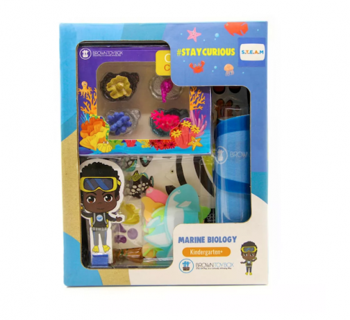 Brązowe pudełko na zabawki Oscar Marine Biology STEAM Kit 